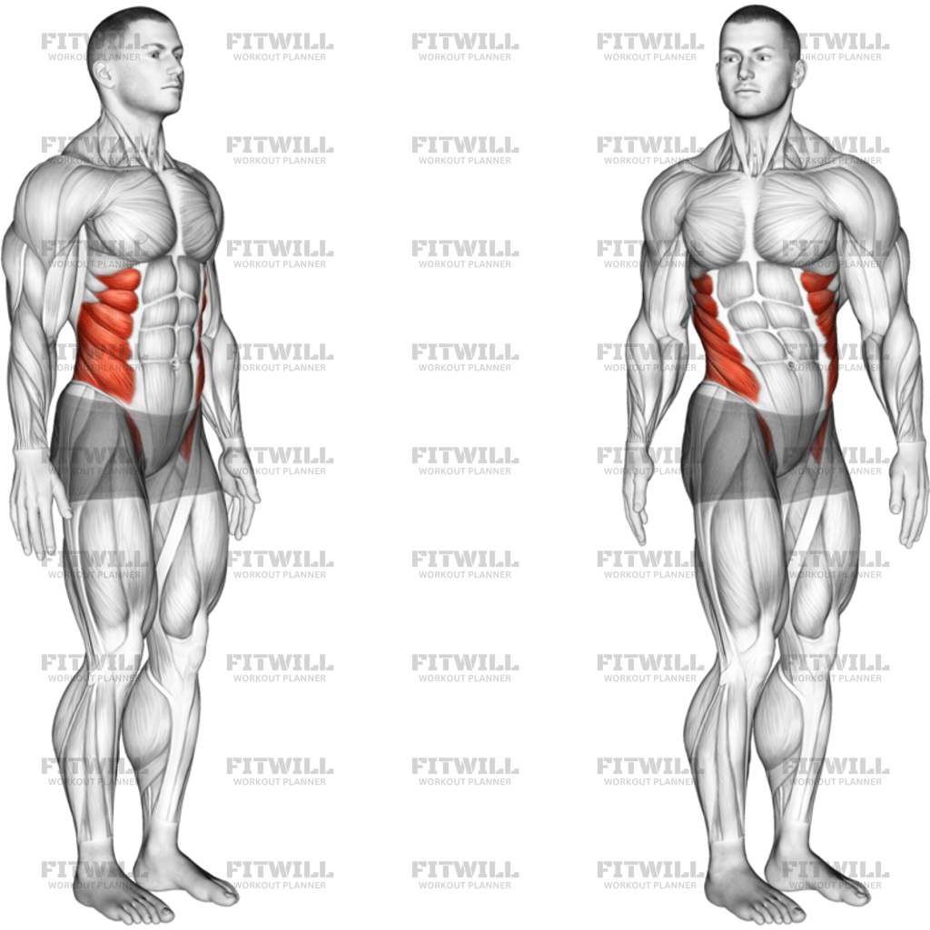 Spine Lumbar Rotation Articulations: Exercise Guide, Video, Techniques ...
