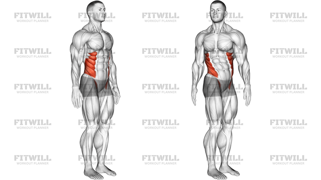 Spine Lumbar Rotation Articulations