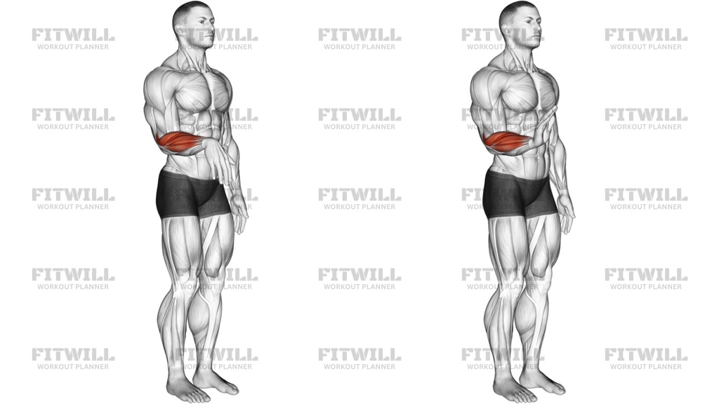 Wrist Extension Articulations