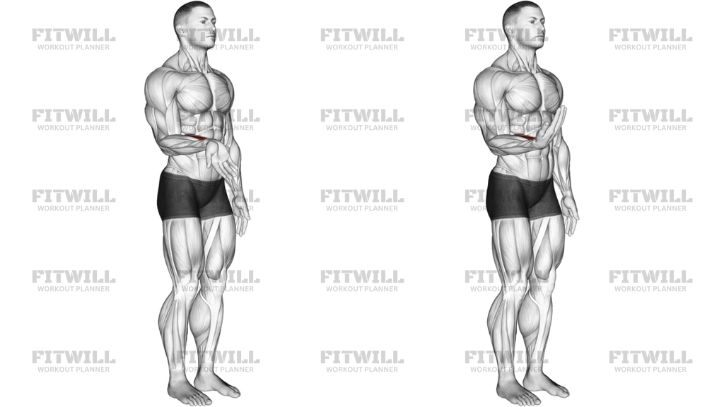 Wrist Flexion Articulations