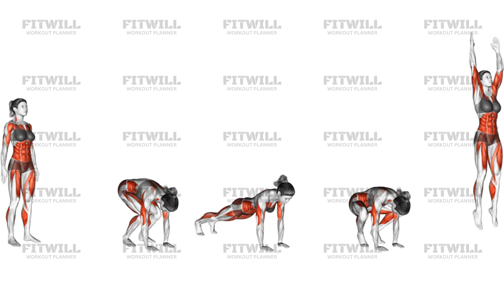 Burpee
