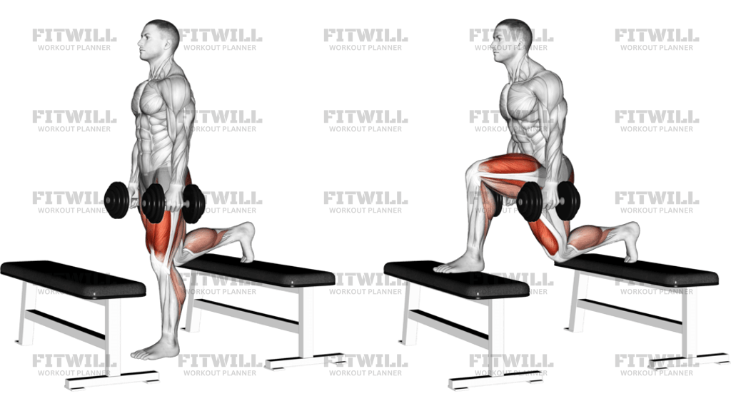 Dumbbell Step-Up Lunge