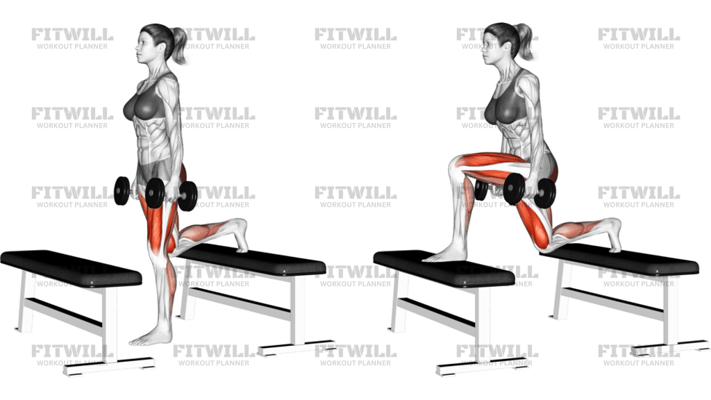 Dumbbell Step-Up Lunge