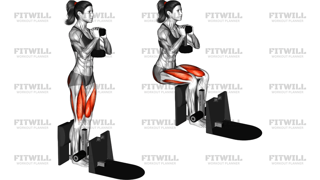 Dumbbell Supported Squat