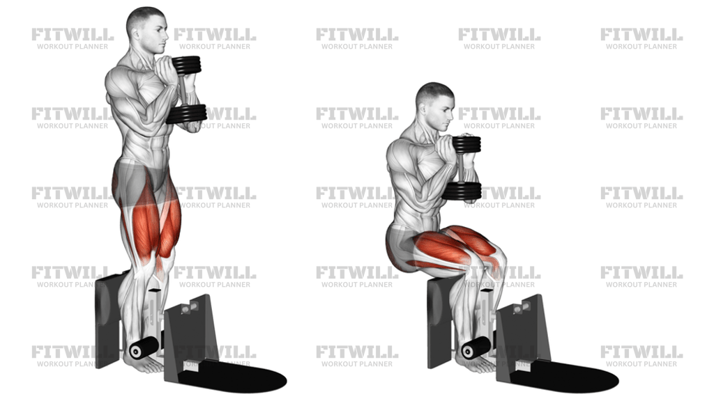 Dumbbell Supported Squat: Exercise Guide, Video, Techniques, Benefits ...