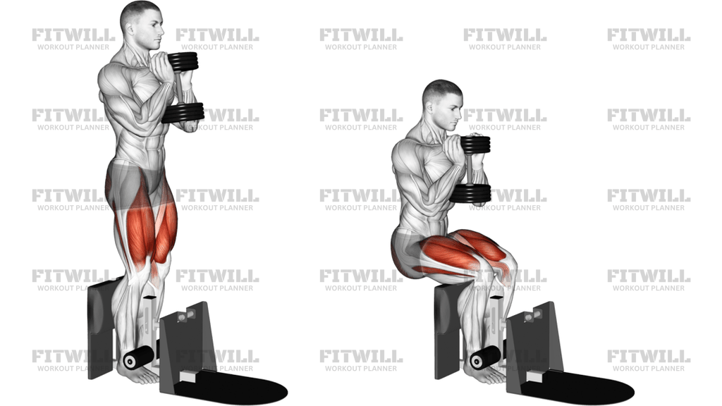 Dumbbell Supported Squat