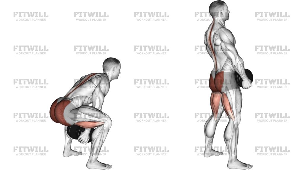 Dumbbell Sumo Pull Through