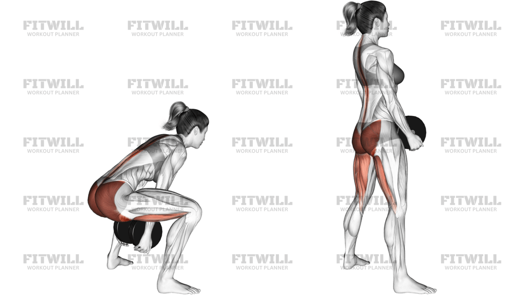Dumbbell Sumo Pull Through