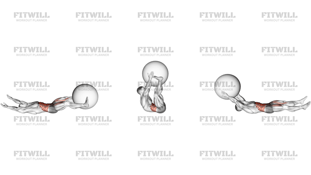 V-Up Con Stability Ball
