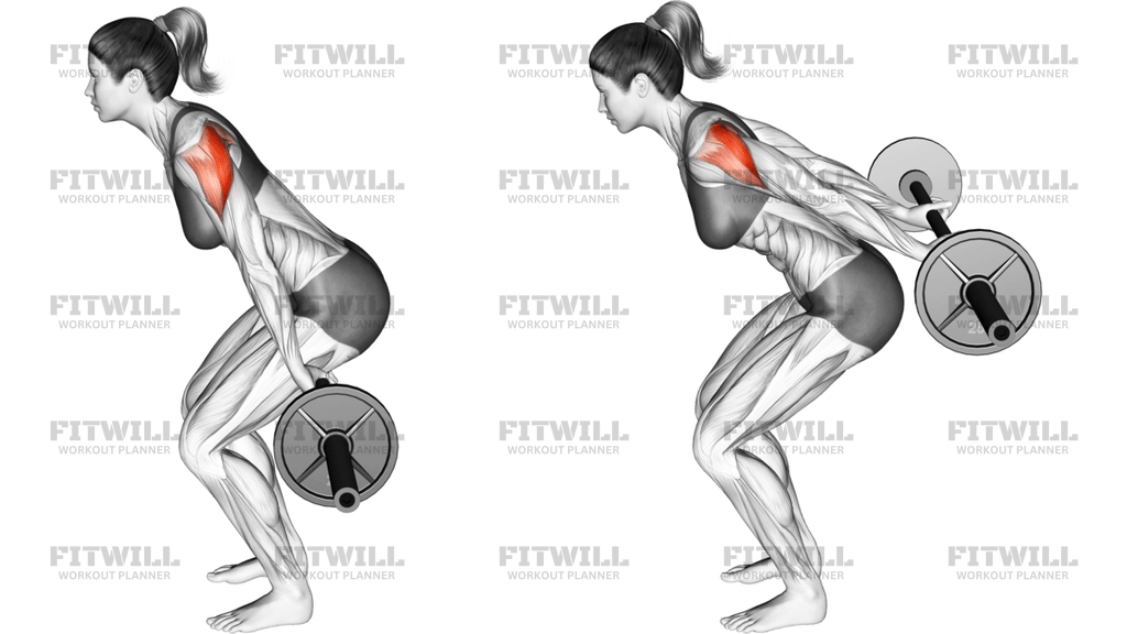 Barbell Skier