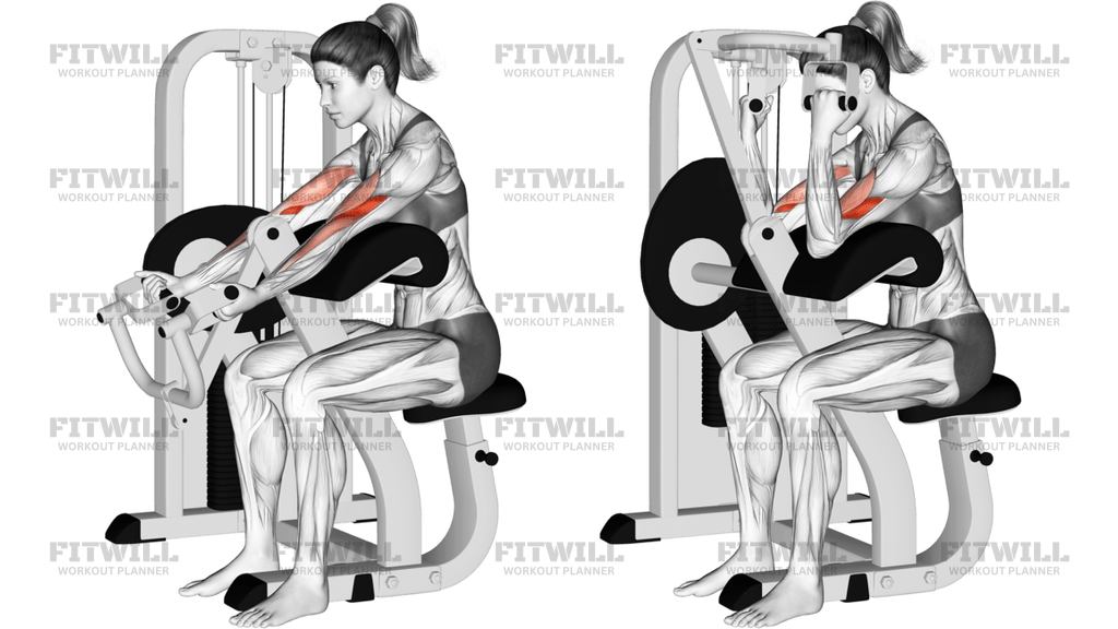Lever Preacher Curl Version 2