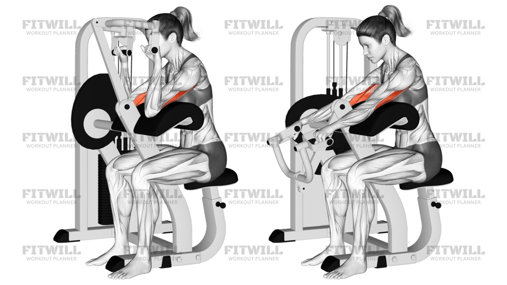 Lever Triceps Extension Version 2: Exercise Guide, Video, Techniques ...