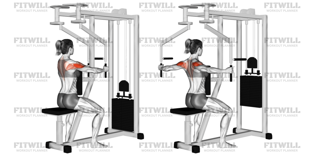Lever Seated Reverse Fly: Exercise Guide, Video, Techniques, Benefits ...