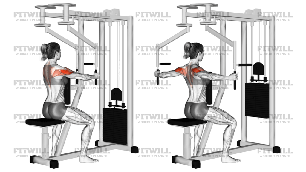 Lever Seated Reverse Fly: Exercise Guide, Video, Techniques, Benefits ...