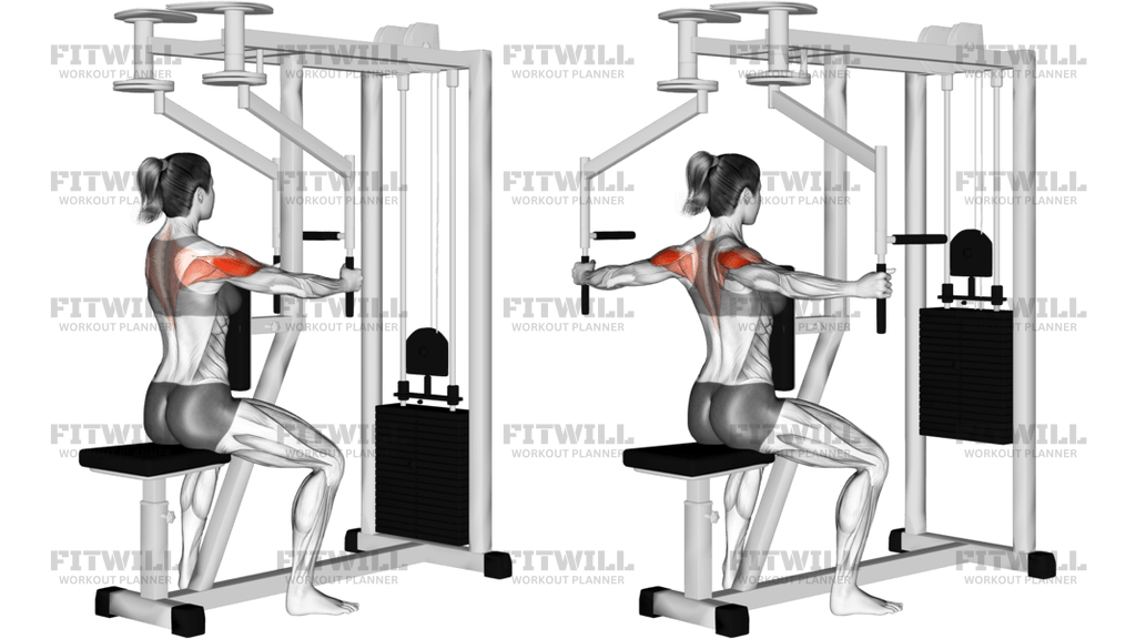 Lever Seated Reverse Fly