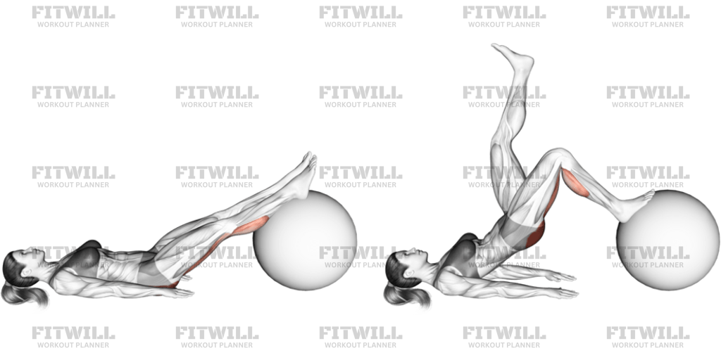 Exercise Ball One Legged Diagonal Kick Hamstring Curl: Exercise Guide ...