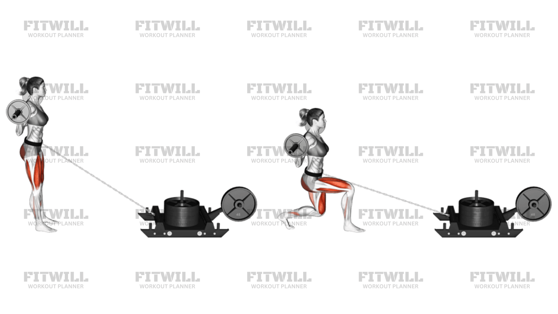 Power Sled Rear Lunge Exercise Guide Techniques Benefits How to Muscles Worked Tips Tricks Fitwill