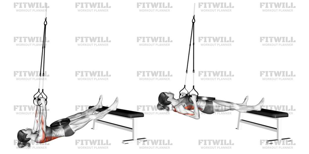 Suspender Weighted Inverted Row: Exercise Guide, Techniques, Benefits ...