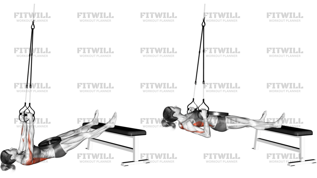 Suspender Weighted Inverted Row