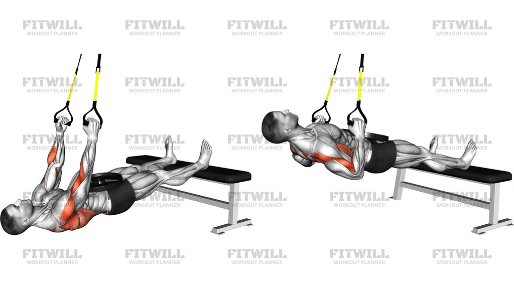 Suspender Weighted Inverted Row