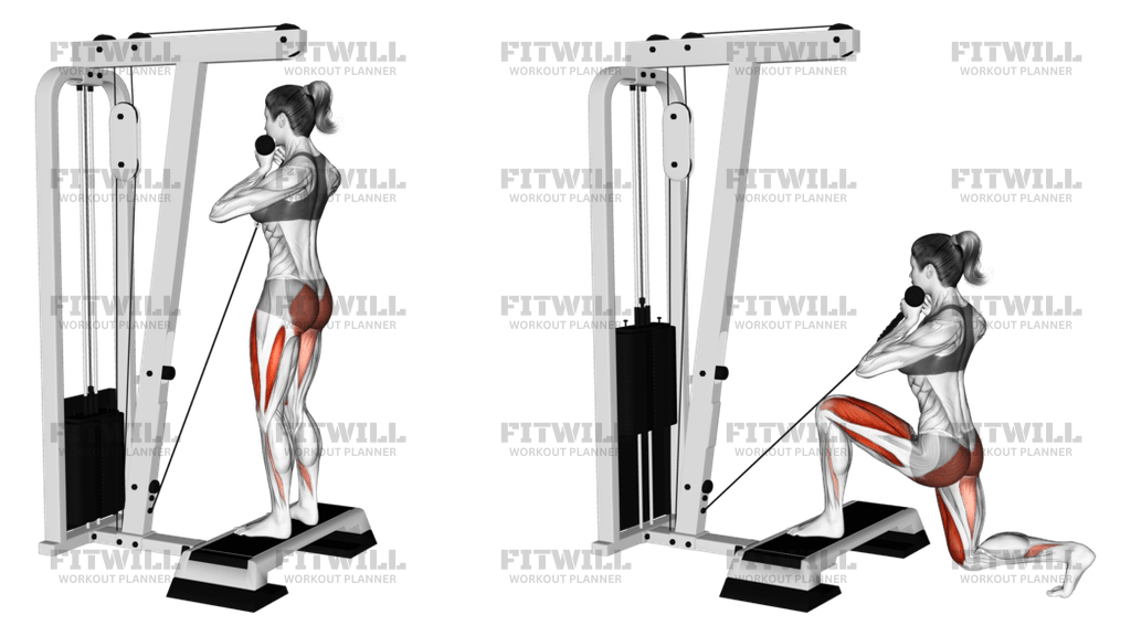 Cable Rear Lunge From Stepbox: Exercise Guide, Techniques, Benefits ...