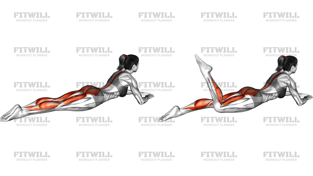 Lying Single Leg Kick
