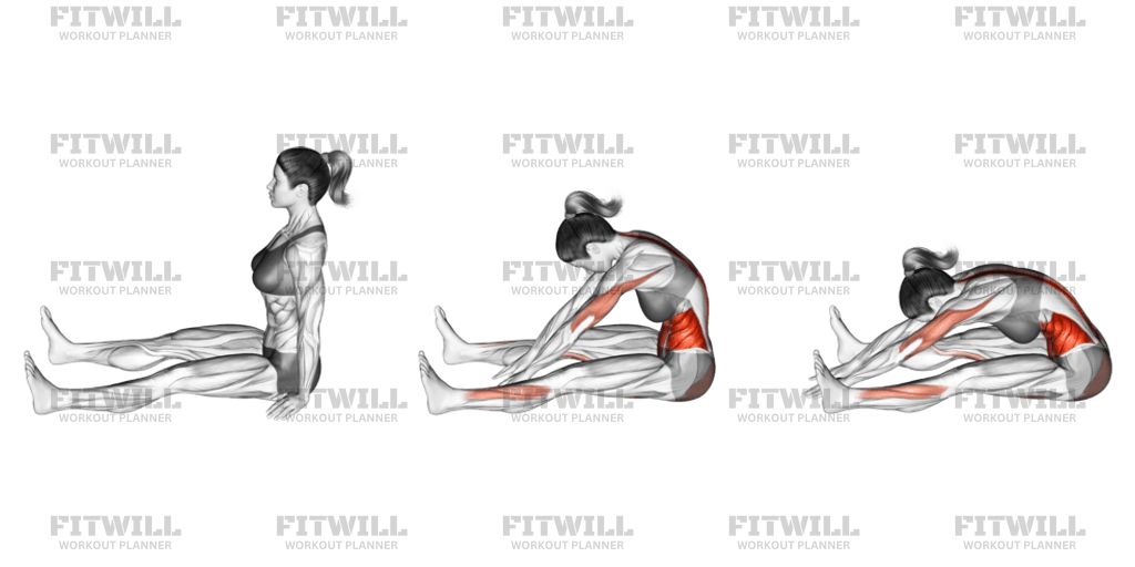 Spine Stretch Forward: Exercise Guide, Video, Techniques, Benefits, How ...
