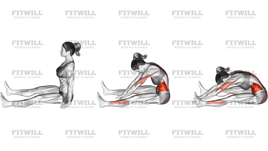 Spine Stretch Forward