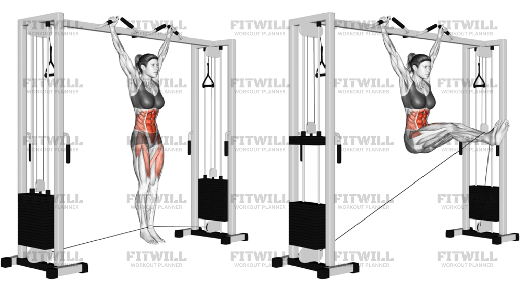 Cable Hanging Leg Raise
