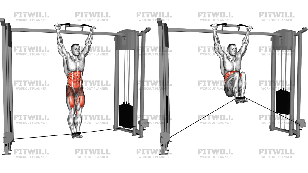 Cable Hanging Leg Raise