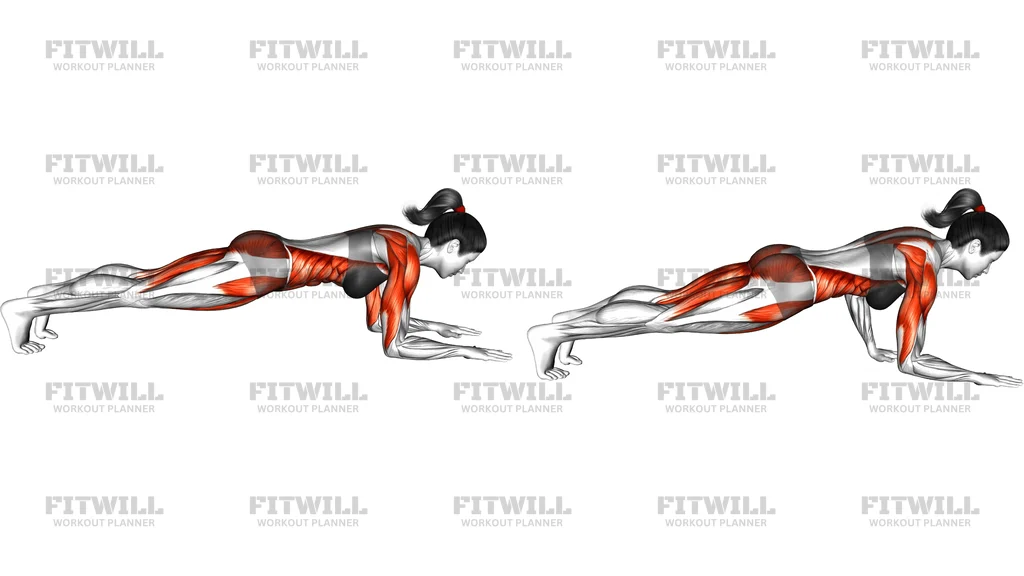 Front Plank To Push-Up