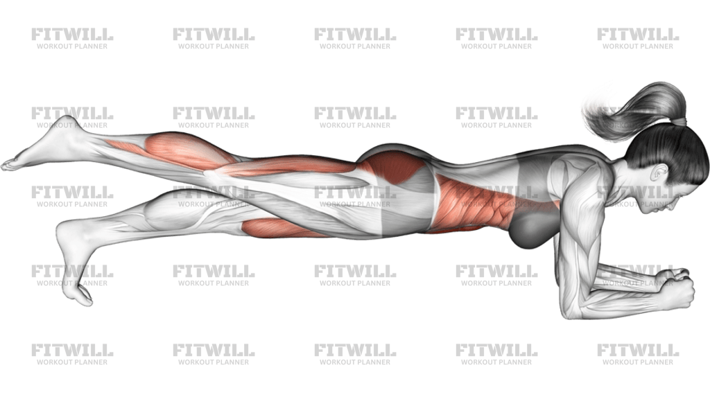 Front Plank With Leg Lift