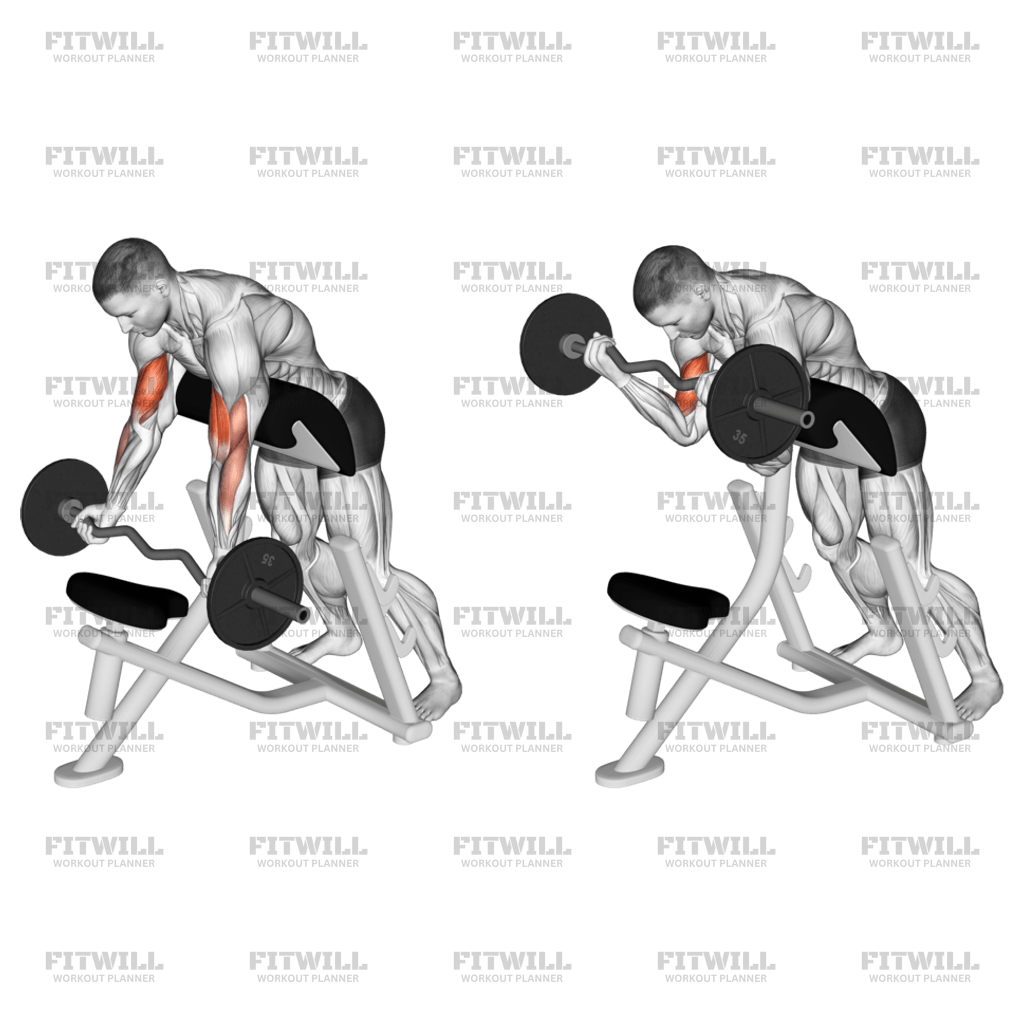 EZ Barbell Standing Preacher Curl Exercise Guide Video Techniques Benefits How to Muscles Worked Tips Tricks Fitwill