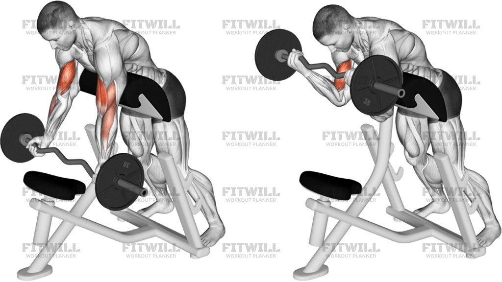 EZ-Barbell Standing Preacher Curl