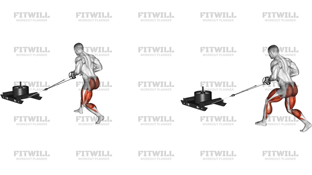 Power Sled Rear Batwing