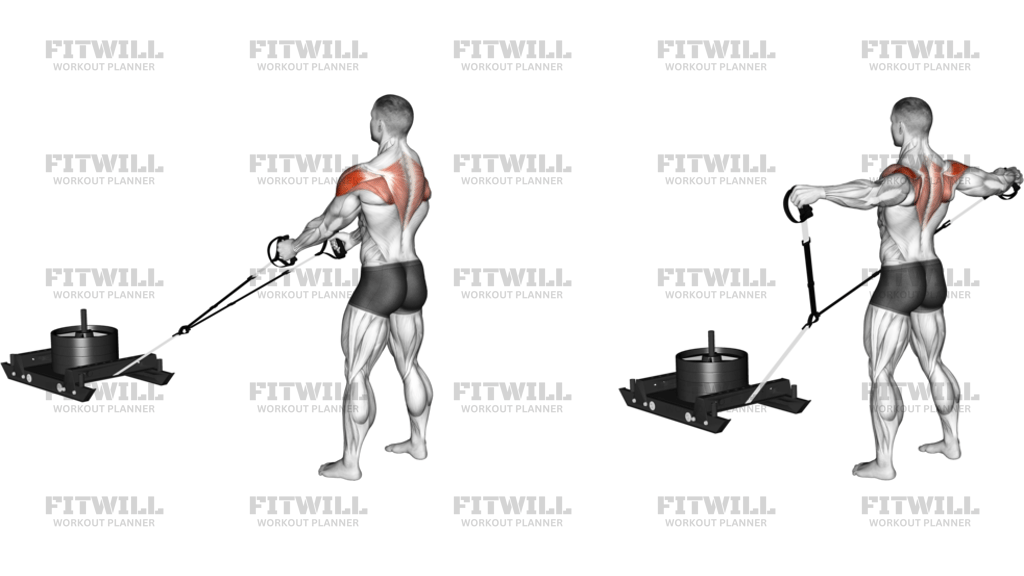 Power Sled Rear Fly