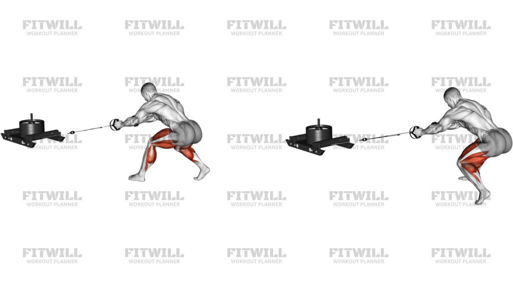Power Sled Rear Drag