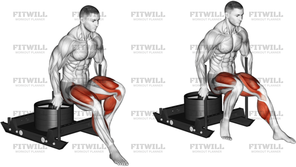 Power Sled Backward Push