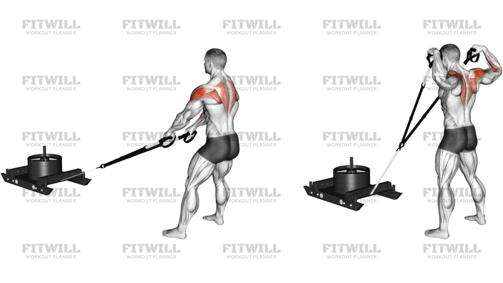 Power Sled High Pull