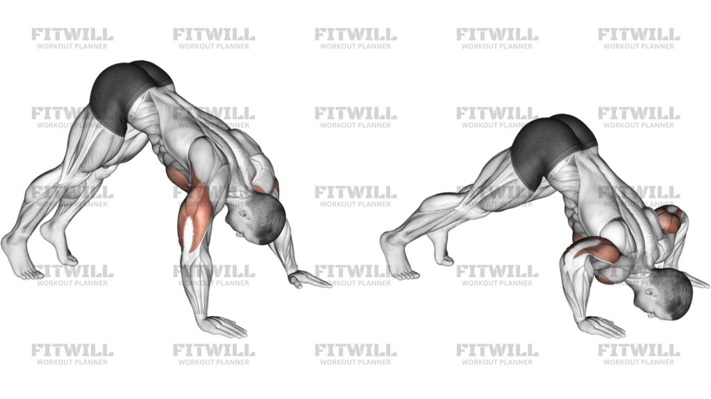 Pike Push-Up