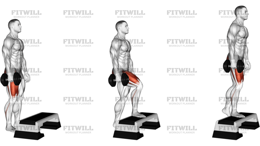 Dumbbell Single Leg Step-Up
