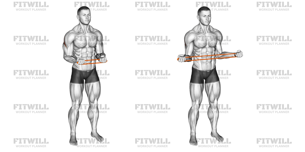 Resistance Band Pullapart (Supination At 90 Degrees): Exercise Guide ...