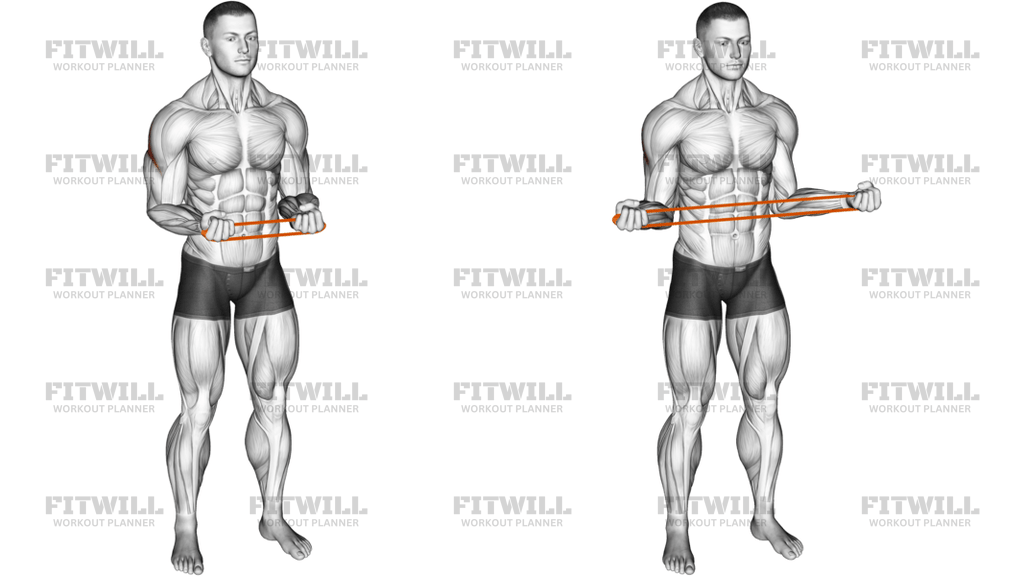 Resistance Band Pullapart Supination At 90 Degrees