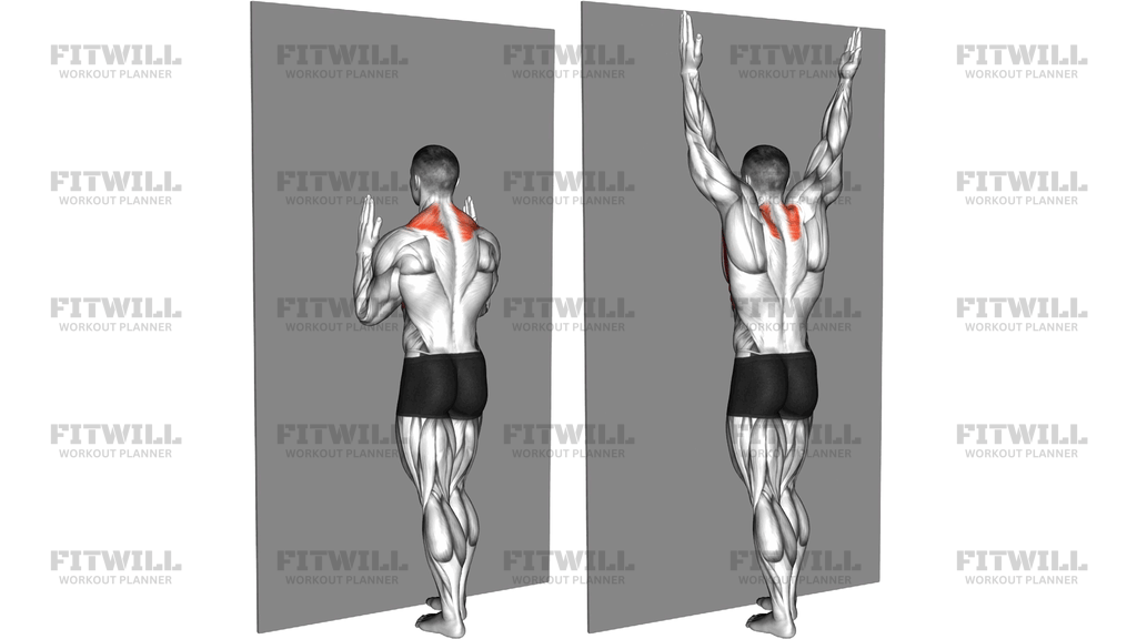 Forearm Wall Slide