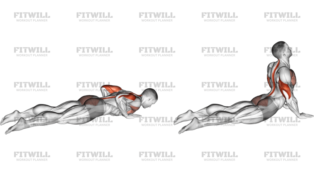 Seal Push-Up