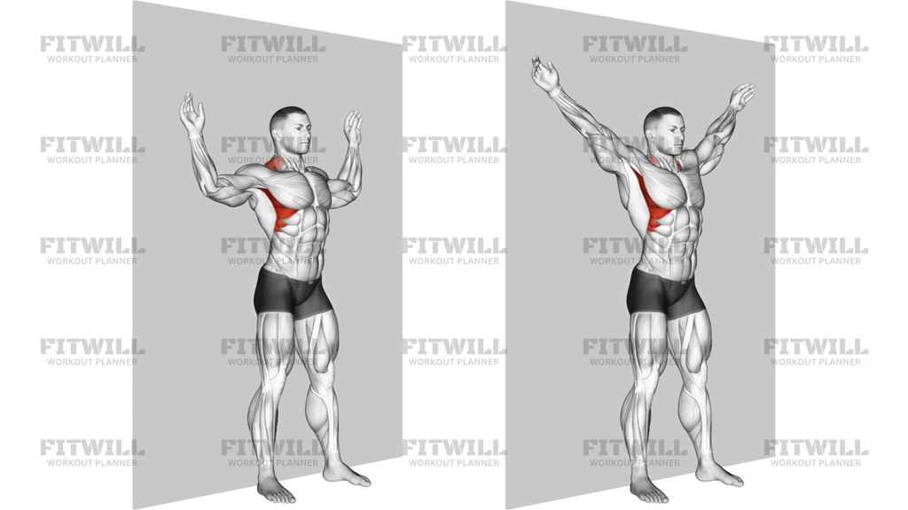 Scapular Slide Back To Wall