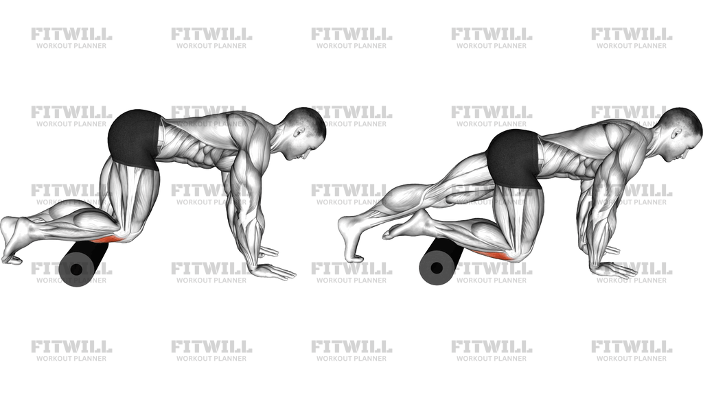 Roll Anterior Calf Foam Rolling