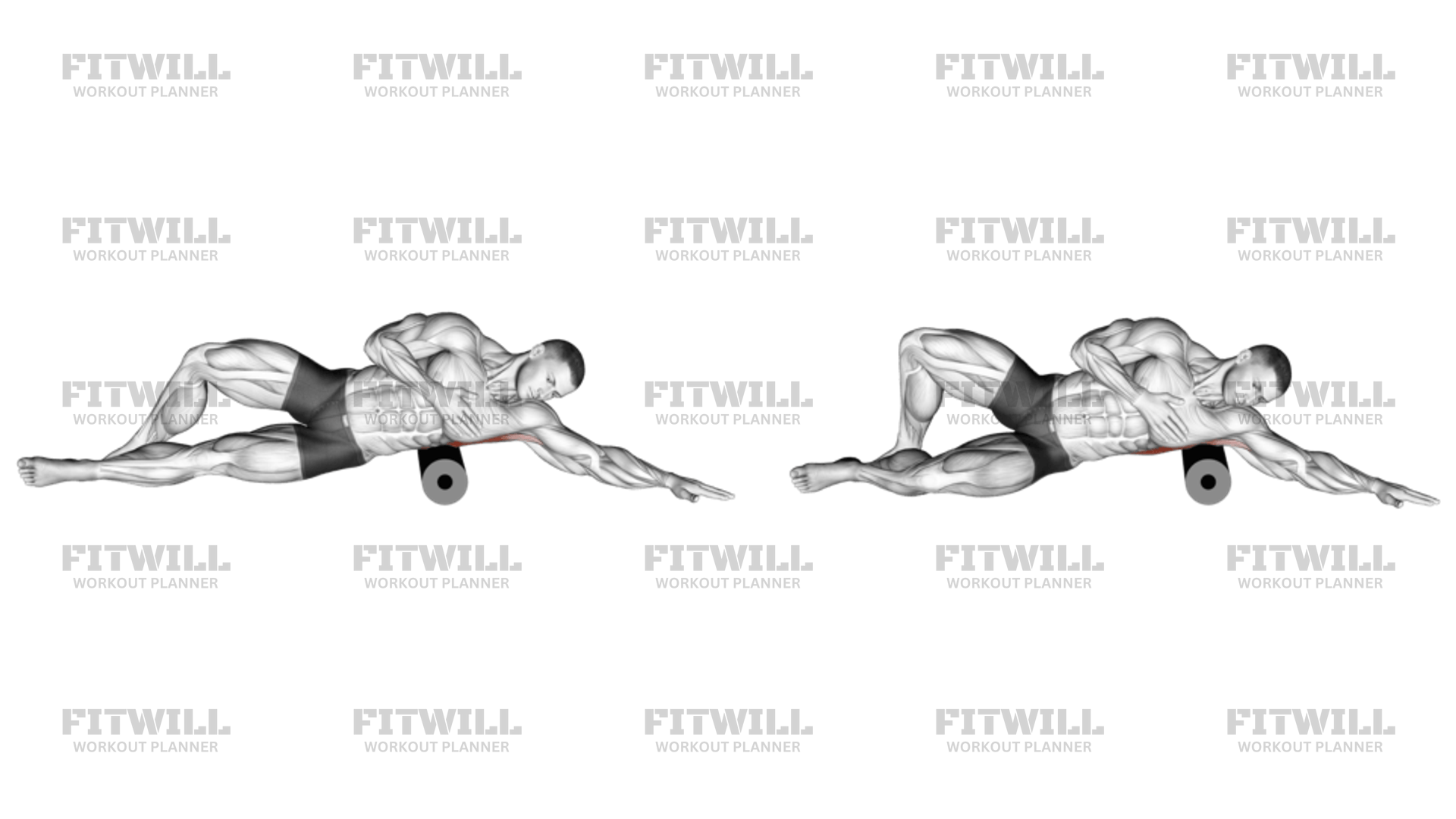 Lat foam roll hotsell
