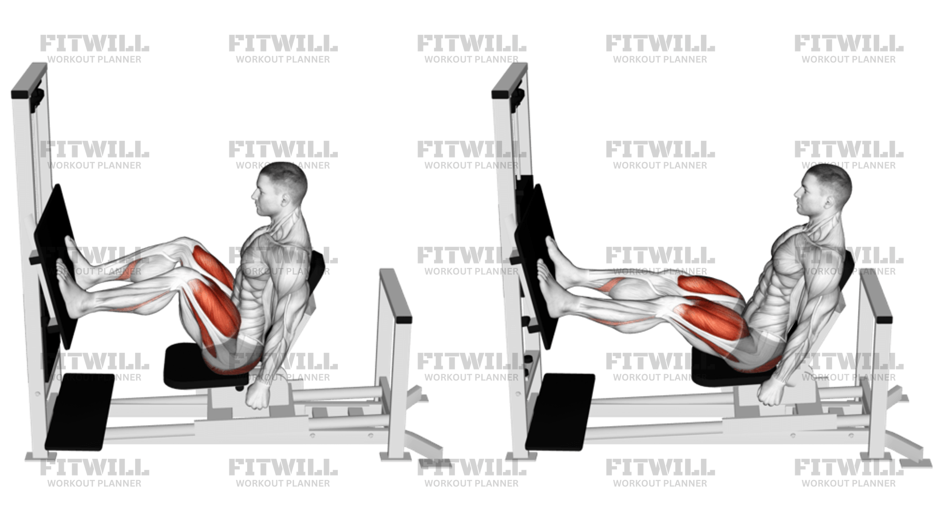 レバーホリゾンタルレッグプレス: エクササイズガイド、ビデオ、テクニック、利点、方法、働く筋肉、ヒント＆トリック | Fitwill