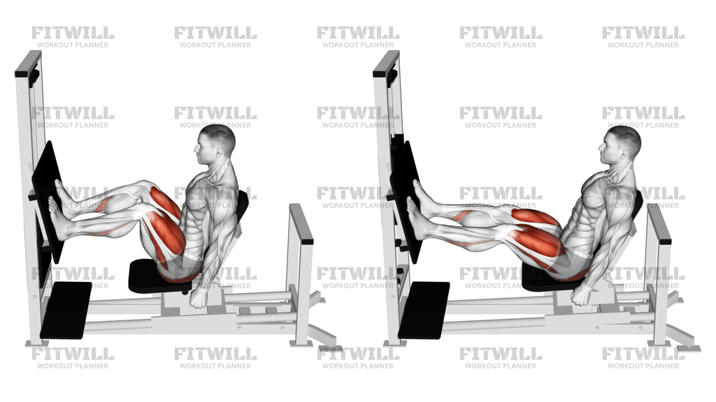 Ultimate Leg Day Workout: Strengthen & Sculpt Your Lower Body | Workout ...